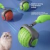 a936fcd8-093b-4db8-a645-6fa998a07a3f_trans.jpeg Automatic Rolling Cat Toy: Ultimate Smart Ball for Happy Cats
