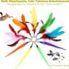 aaa90192-b42f-4c32-a8d8-4e4c669fc8b9.jpg Feather Wand Cat Toy Set – Ultimate 11-Piece Play Kit Cats Love