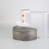 Cordless self-refill pet water dispenser with dual water tanks
