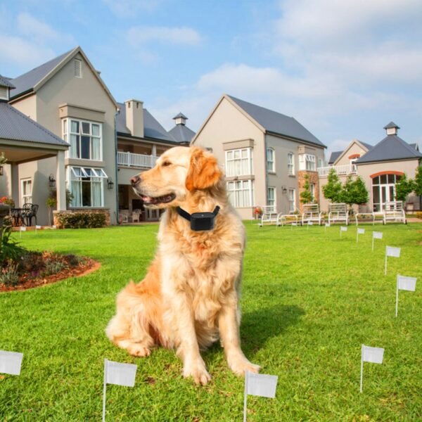 bfc3cc6f-4c74-4271-88cc-7cefc12f8a74.jpg Underground Dog Fence Kit: Ultimate 1.2-Acre Reliable Solution