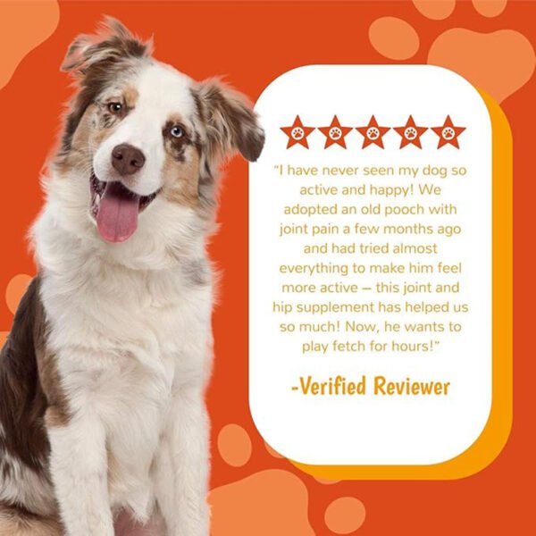 c27527f5-6391-4afd-b150-c477c5a493b4.jpg Dog Cat Joint Chews – Ultimate 200-Count Happy Mobility Support