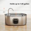 e1238b6d-9665-47da-a527-d1fde0ac44d1.jpg 7L Stainless Steel Cat Fountain – Ultimate 246 oz. Hydration Cats Love