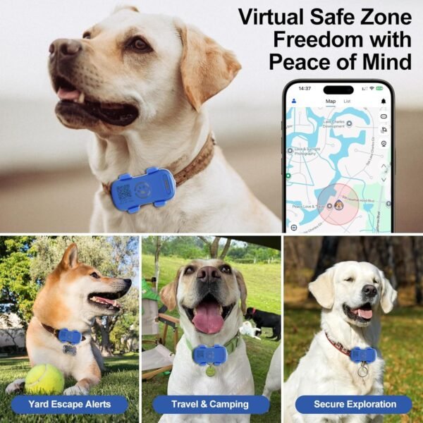 f00d73c4-2c77-4ad4-809d-7bd3b4ddaccf.jpg real-time dog gps tracker