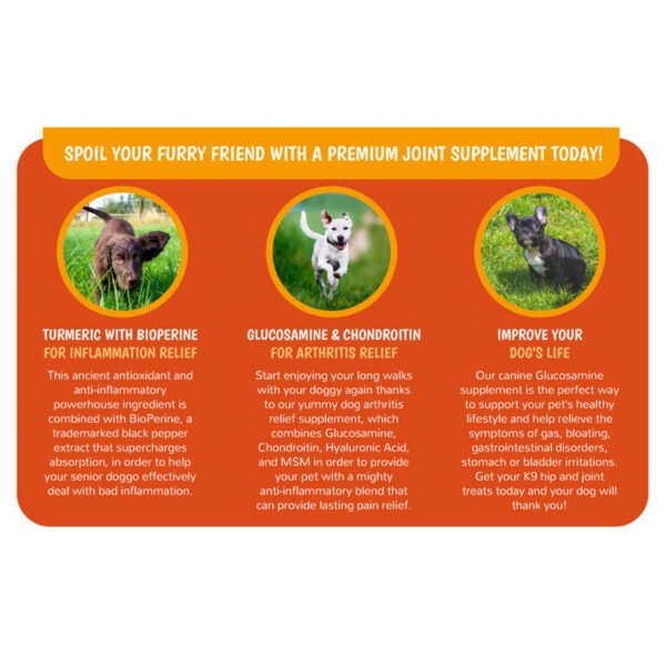 f15b3283-8b76-4f20-b965-2dec5b5531a0.jpg Dog Cat Joint Chews – Ultimate 200-Count Happy Mobility Support