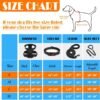 0a8adb9a-9052-47fe-8546-f3b5a3dfa350.jpg Dog Harness Collar Leash Set – Complete 4-in-1 Travel Kit Dogs Love