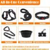 1a25401b-3067-4f4c-9a45-4866f8df43df.jpg Dog Harness Collar Leash Set – Complete 4-in-1 Travel Kit Dogs Love