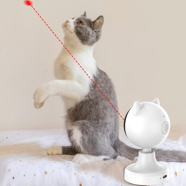 2403180725240327900.jpg Smart Laser Cat Toy – Ultimate Automatic Play Kittens & Cats Love