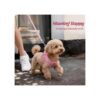 2c0ea088-80f5-4281-b433-e38bac79f2b8.jpg No-Pull Puppy Harness Set – Amazing Step-In Comfort Vest for 5 Dog Sizes