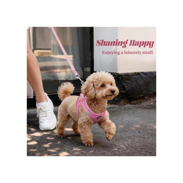 2c0ea088-80f5-4281-b433-e38bac79f2b8.jpg No-Pull Puppy Harness Set – Amazing Step-In Comfort Vest for 5 Dog Sizes