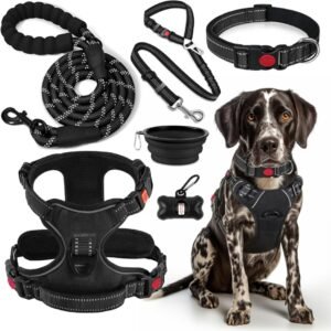 Dog Harness Collar Leash Set Dog Harness Collar Leash Set