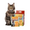 4848d604-cb16-4a72-bfea-639f55c96337.jpg Health Monitoring Cat Litter – Amazing Color-Changing Formula Cats Deserve