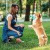 491f121b-a176-4788-ae78-5281172c2cc6.jpg Tumbler Treat Dispensing Dog Toy: 5 Amazing Perks Dogs Love