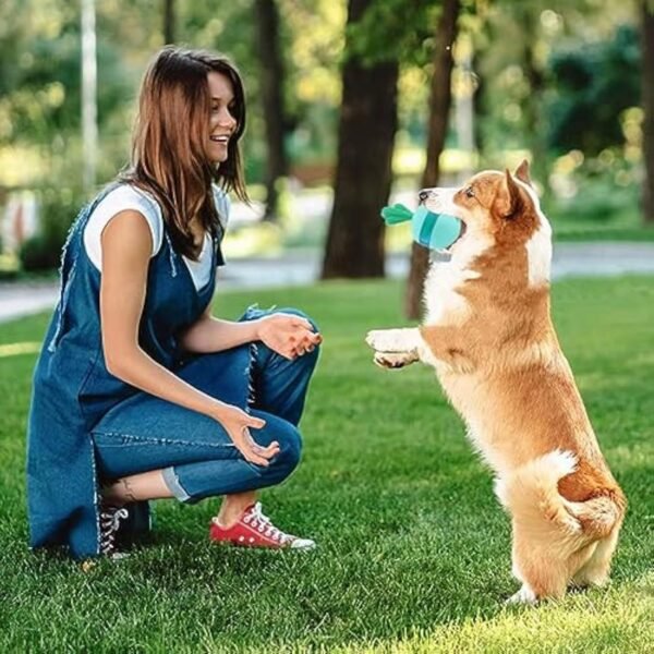 491f121b-a176-4788-ae78-5281172c2cc6.jpg Tumbler Treat Dispensing Dog Toy: 5 Amazing Perks Dogs Love