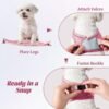 49c2c9c6-b395-4b81-ab46-3c78ac34447a.jpg No-Pull Puppy Harness Set – Amazing Step-In Comfort Vest for 5 Dog Sizes