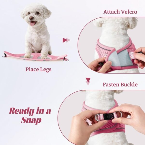 49c2c9c6-b395-4b81-ab46-3c78ac34447a.jpg No-Pull Puppy Harness Set – Amazing Step-In Comfort Vest for 5 Dog Sizes