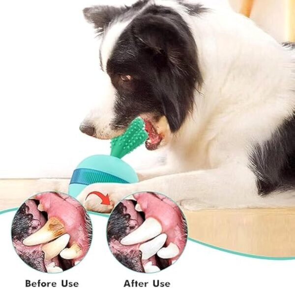 68bc8b64-a6e0-4ad0-9007-ff79525a2d7c.jpg Tumbler Treat Dispensing Dog Toy: 5 Amazing Perks Dogs Love
