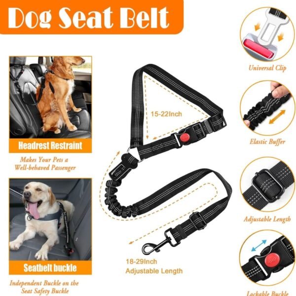 72f0806f-e2b5-4645-a6cc-f2d47d53e5a5.jpg Dog Harness Collar Leash Set – Complete 4-in-1 Travel Kit Dogs Love