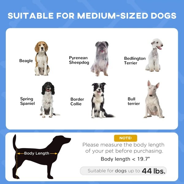7898a0c5-bc38-471a-a71d-01b455d19f49.jpg Elevated Cooling Dog Bed – Ultimate 4-Season Comfort Cot Dogs Love