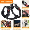 8a4cace1-e362-4988-bd19-02c5459b6a6a.jpg Dog Harness Collar Leash Set – Complete 4-in-1 Travel Kit Dogs Love