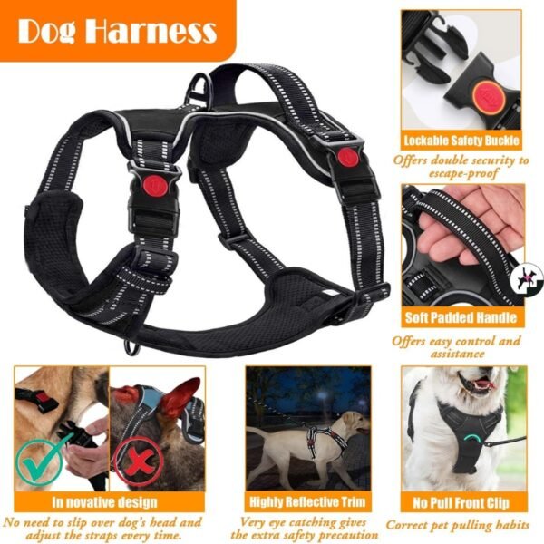8a4cace1-e362-4988-bd19-02c5459b6a6a.jpg Dog Harness Collar Leash Set – Complete 4-in-1 Travel Kit Dogs Love