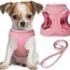 No-Pull Puppy Harness Set No-Pull Puppy Harness Set