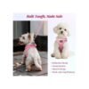 9c4a017c-55cf-46f8-a354-3ef777f1b639.jpg No-Pull Puppy Harness Set – Amazing Step-In Comfort Vest for 5 Dog Sizes
