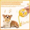 a7d00191-8fec-4dbd-ba2b-1f7e11a33af0.jpg Plush Dog Ball with Rope: 5 Amazing Reasons Dogs Love It
