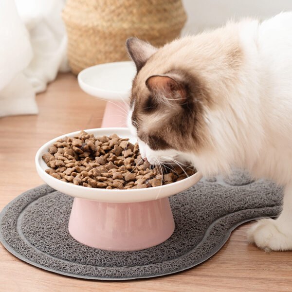 raised ceramic cat food dish raised ceramic cat food dish