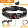 e4612d93-4ad0-49bc-9321-f6e423449957.jpg Dog Harness Collar Leash Set – Complete 4-in-1 Travel Kit Dogs Love
