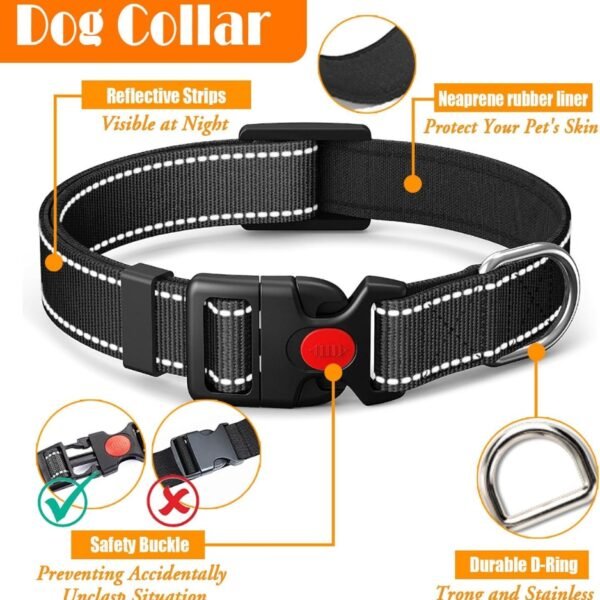 e4612d93-4ad0-49bc-9321-f6e423449957.jpg Dog Harness Collar Leash Set – Complete 4-in-1 Travel Kit Dogs Love