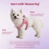 f8fb6cd2-6dd3-4343-b517-6fb8f8c5c77e.jpg No-Pull Puppy Harness Set – Amazing Step-In Comfort Vest for 5 Dog Sizes