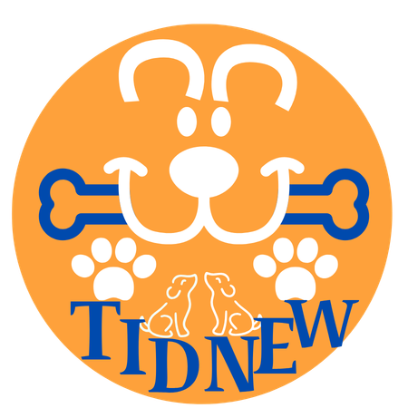 TIDNEW